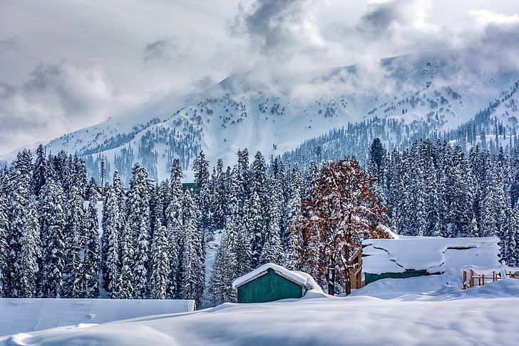 Discover Kashmir Package